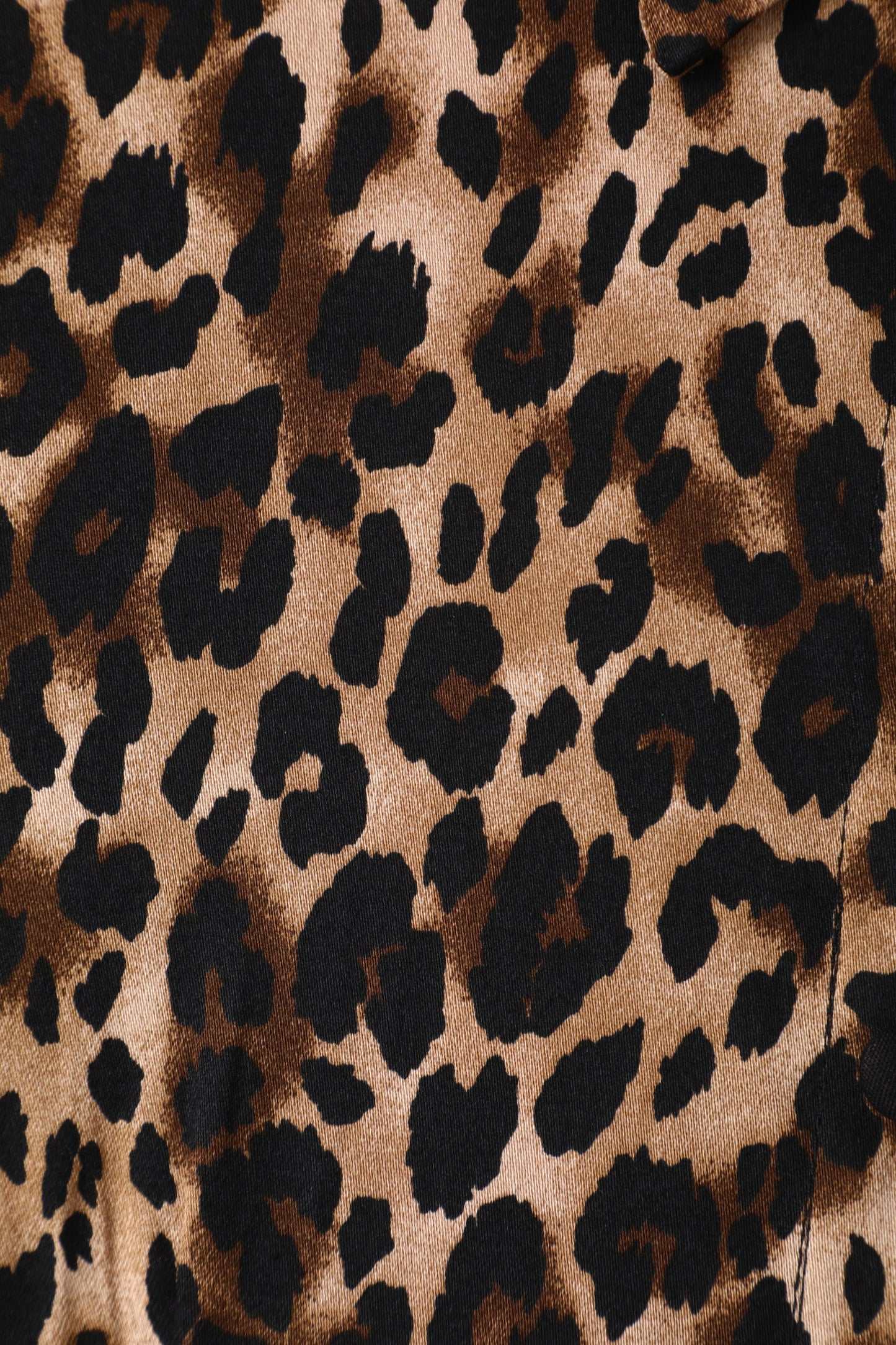 Lisa Retro Leopard Print Shirt Dress